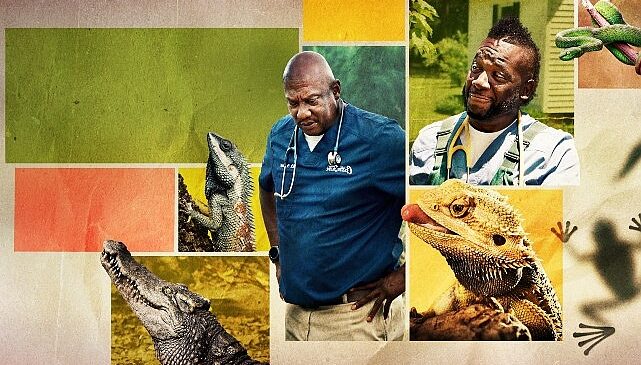 ‘Veteriner Dostlar Özel’,   25 Nisan Cumartesi 20.00 ve 21.00’de İki Bölüm Art Arda   National Geographic WILD Ekranlarında İzle