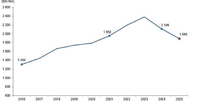 Kırmızı Et Üretim İstatistikleri, 2025