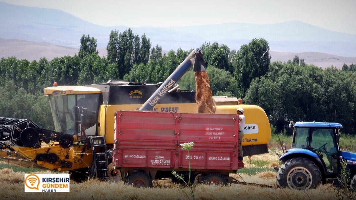 Mucur’da Gençlerden Çiftçilere Hasat Desteği!